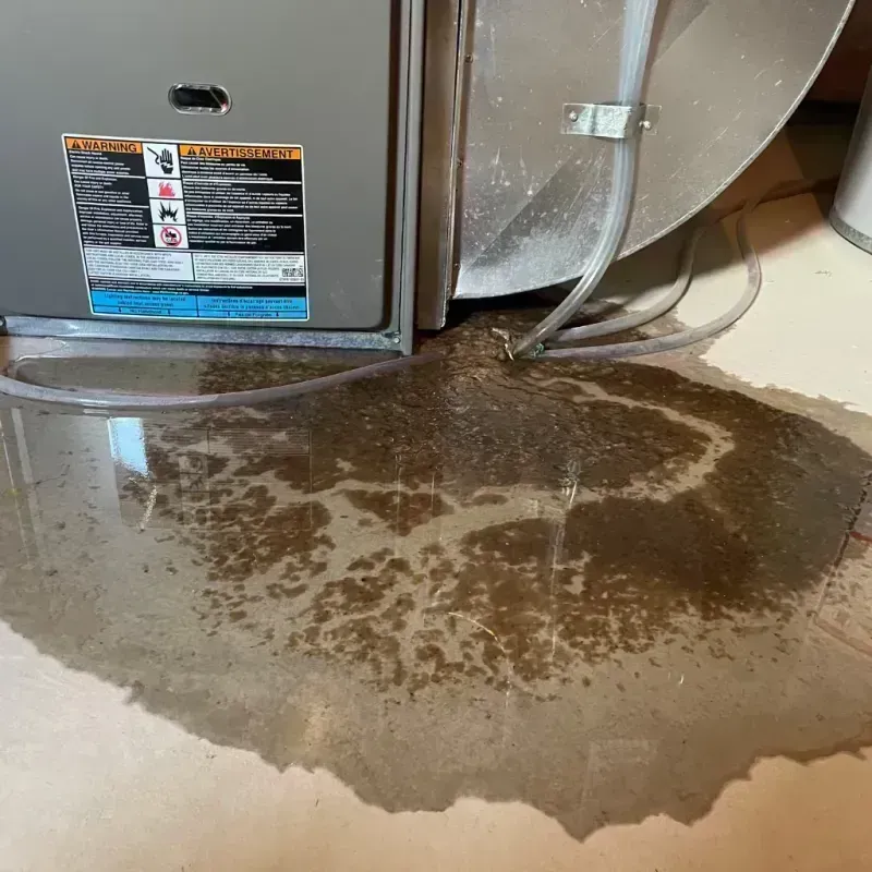 Appliance Leak Cleanup in Dawson County, TX